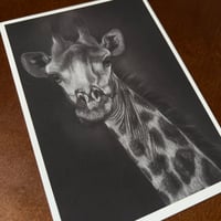 Image 5 of “Stretch” mini matted fine art print 