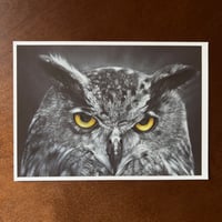 Image 2 of “Prowler of night” mini matted fine art print 