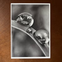 Image 5 of “Morning gems” mini matted fine art prints 