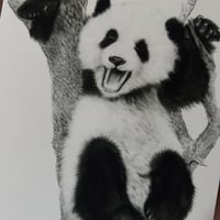 Image 5 of “Playful” mini matted fine art print 