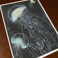 Image 4 of “Playful jellies” mini matted fine art print 