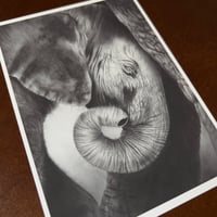 Image 4 of “Comfort” mini matted fine art print 