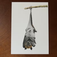 Image 3 of “Suspended calm” Mini matted fine art print 