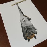 Image 4 of “Suspended calm” Mini matted fine art print 