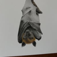 Image 5 of “Suspended calm” Mini matted fine art print 