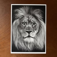 Image 3 of “Silent majesty” mini matted fine art print 