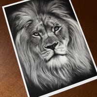 Image 4 of “Silent majesty” mini matted fine art print 