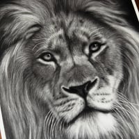 Image 5 of “Silent majesty” mini matted fine art print 