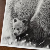 Image 6 of “Momma bear knows best” mini matted fine art print 
