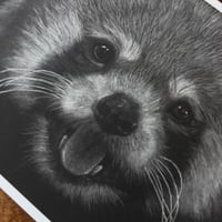 Image 4 of “Joyful Firefox” mini matted fine art print 