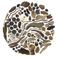 Meditation: Au Naturel Print