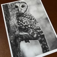 Image 3 of “Peek-a-hoo” mini matted fine art print 