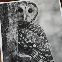 Image 5 of “Peek-a-hoo” mini matted fine art print 