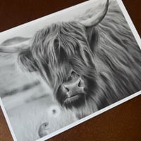 Image 3 of “All aboard” mini matted fine art print 