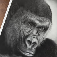 Image 4 of “keeper of the jungle” mini matted fine art print 