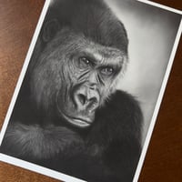 Image 5 of “keeper of the jungle” mini matted fine art print 
