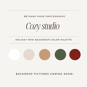 Image of Cozy Studio Holiday minis 2025