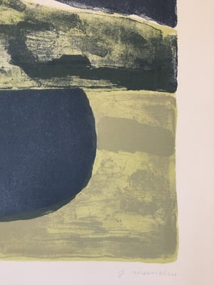 litho verte