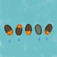 Image 2 of bug pals