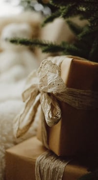 Christmas Mini Session 2025 - Deposit only