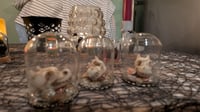 Image 2 of Dragon Skull in a Bell Jar
