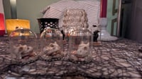 Image 4 of Dragon Skull in a Bell Jar