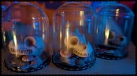 Image 1 of Dragon Skull in a Bell Jar
