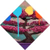 Everything Zen