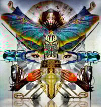 Image 1 of 'Free of the Chrysalis'