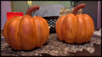 Image 1 of Ceramic Pumpkin Patch