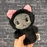 Image 2 of PEANUT- Coal