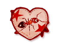 Crematogaster Sticker