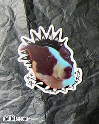 Image 2 of PUNK ROCK GRRL