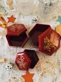 Image 2 of A Showgirl's Nesting Box