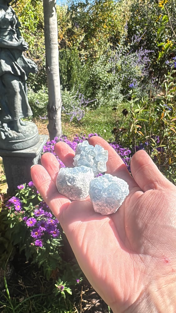 Image of Celestite Smaller pcs-Dream