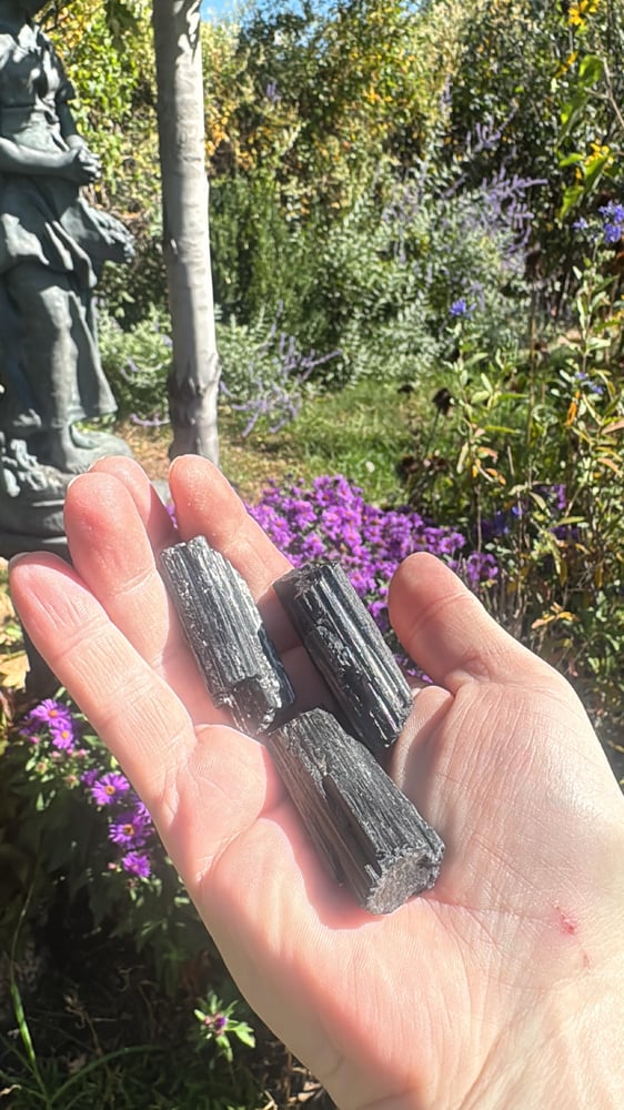 Image of Black Tourmaline - Protection
