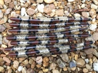 Image 3 of  Worm 6.5" 