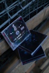 Image 2 of Personally Responsible For The End Of The World LP