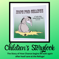 Image 4 of Children's Storybooks - Mini Books