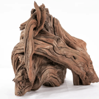 Image 1 of Ocean Wonderscape 