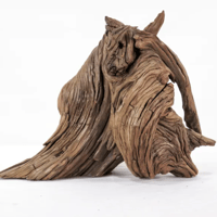 Image 2 of Ocean Wonderscape 