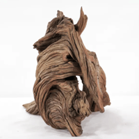 Image 3 of Ocean Wonderscape 