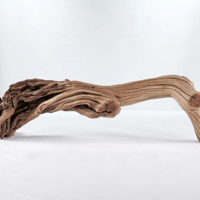 Image 2 of Seaside Soul