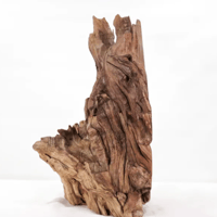 Image 2 of Tidal Dreams  