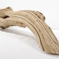 Image 1 of Sea Whispers  