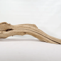 Image 2 of Sea Whispers  