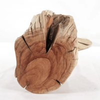 Image 3 of Sea Whispers  