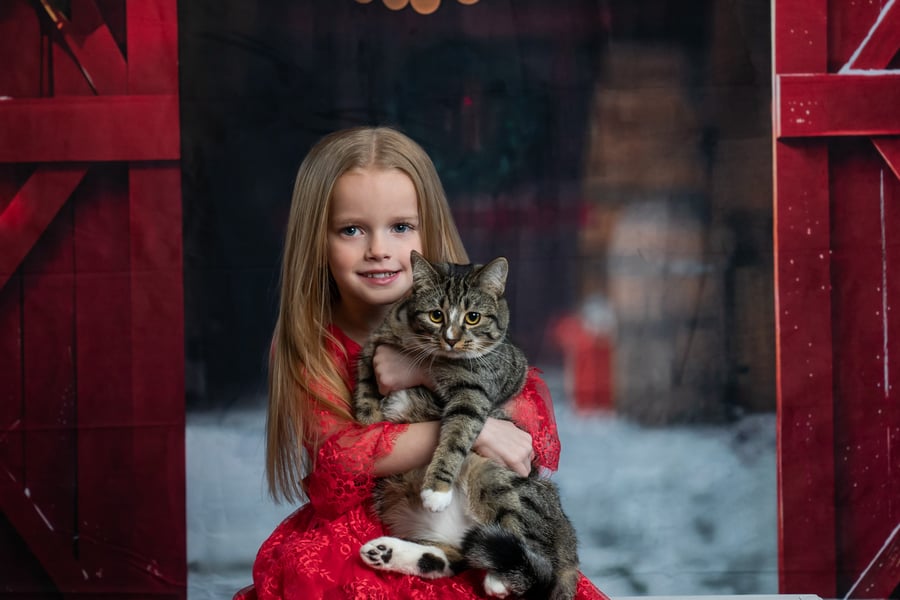 Image of St. John's INSIDE Sessions Saturday, Nov 22nd -  Christmas Mini 