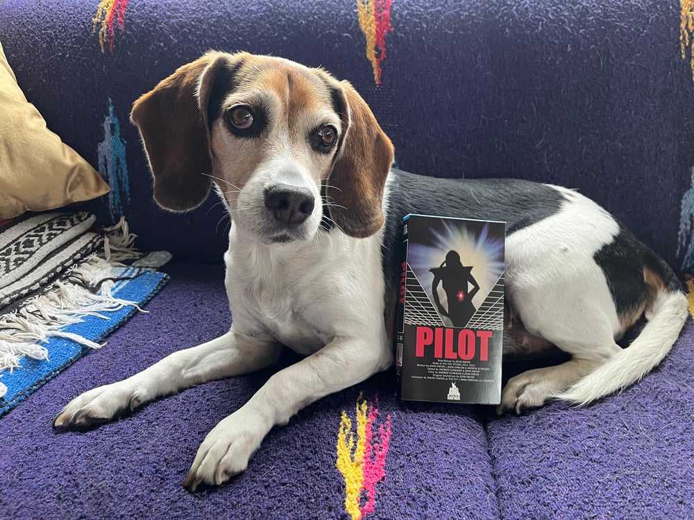 Image of PILOT on VHS 