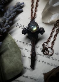 Image 3 of Black Cat Vertebra Bone & Green Labradorite Pendant